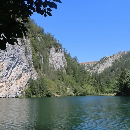 Novakovic