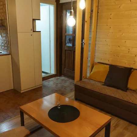 Novakovic * 巴伊纳巴什塔