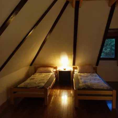 Novakovic * 巴伊纳巴什塔