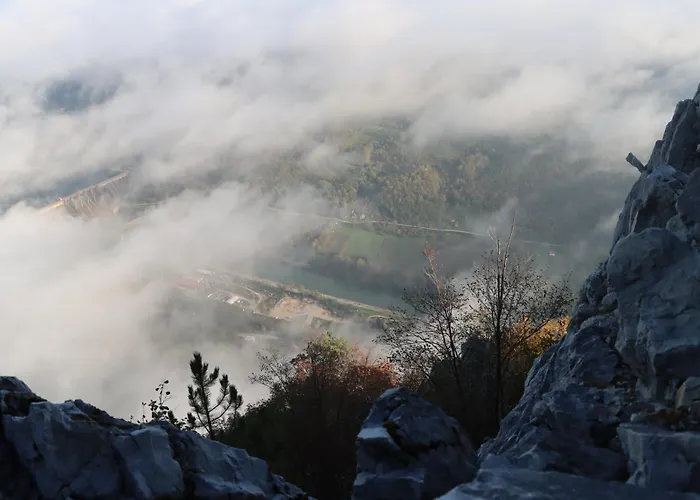 Novakovic 바이나 바슈타