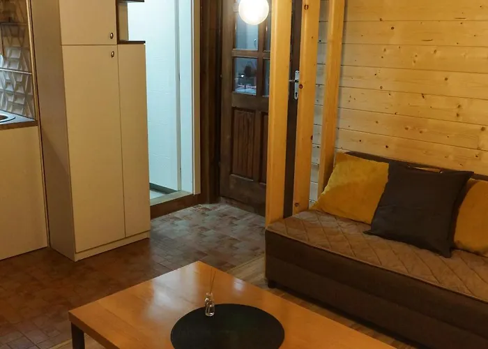 Novakovic * 바이나 바슈타