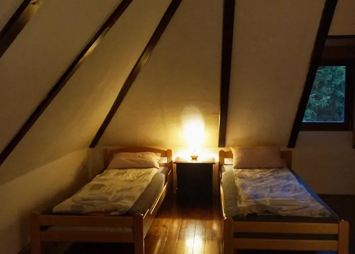 Novakovic * 바이나 바슈타