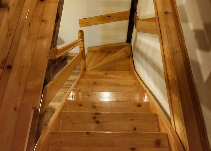 Novakovic 바이나 바슈타