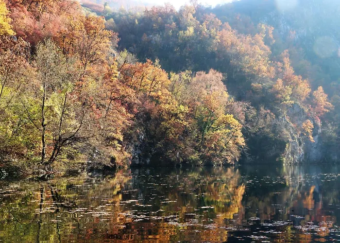 Novakovic 바이나 바슈타